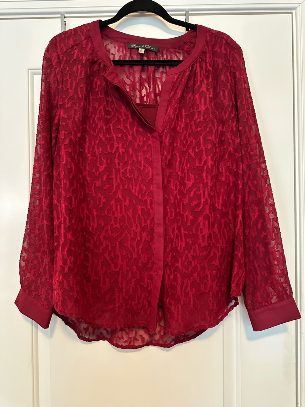 Rose & Olive Red Sheer Textured Burnout Blouse